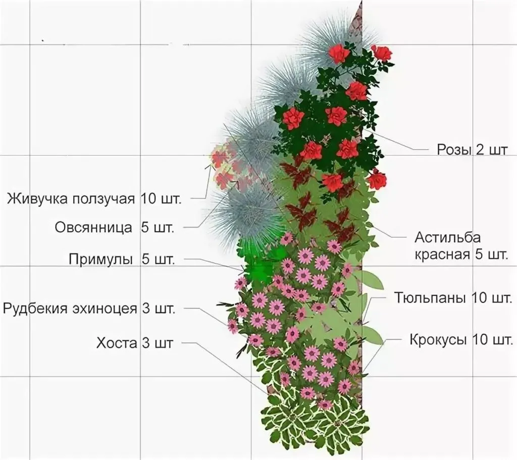 Как сделать клумбу из многолетников, чтобы цвела все лето