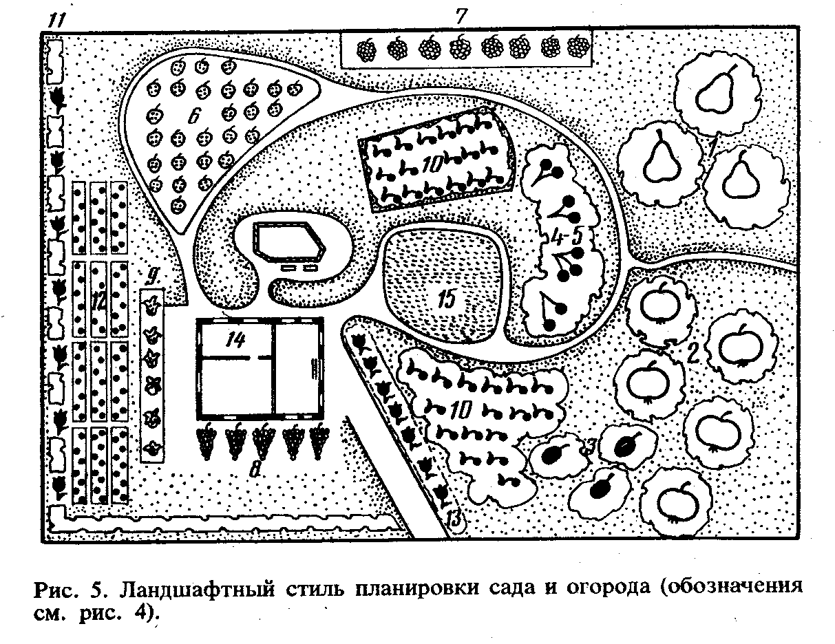 Планировка Посадки Фото