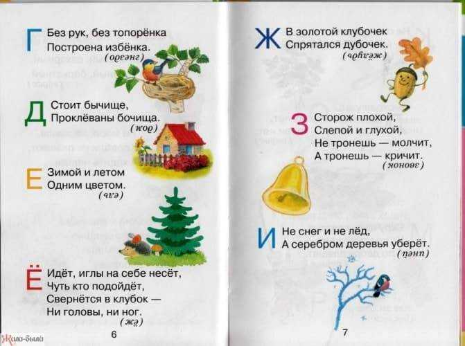 Особенности планировки огорода на участке — советы от специалиста!