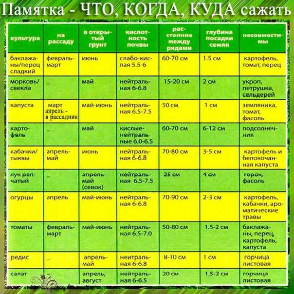Фенологический календарь природы не привязан к датам Сезонов в нем не четыре а десять Мы расскажем как узнавать подсезоны по растениям индикаторам а также когда и какие садовые работы лучше проводить