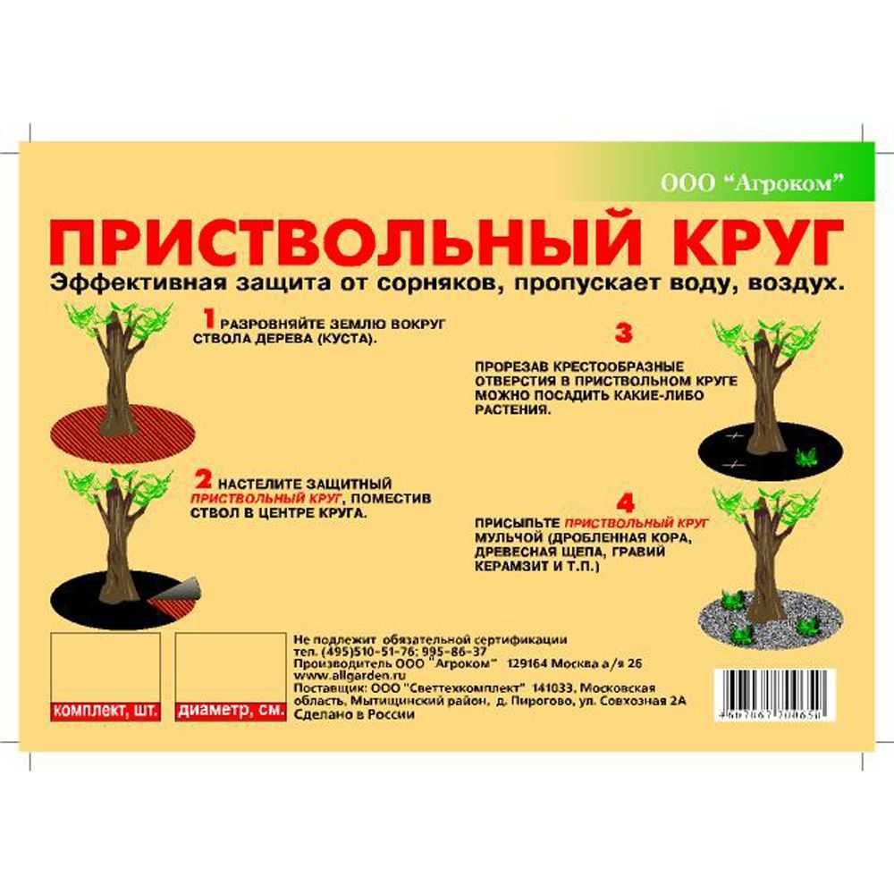 Приствольные круги плодовых деревьев — оформление