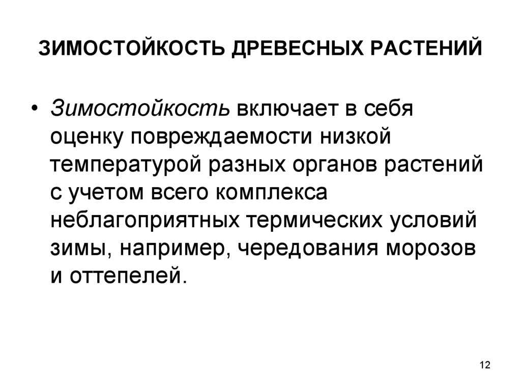 Плодовые деревья зимой - влияние температуры на состояние растений