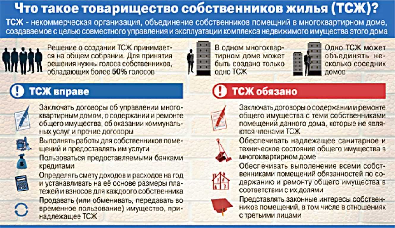 Сторис в telegram: кому они доступны и как их отключить